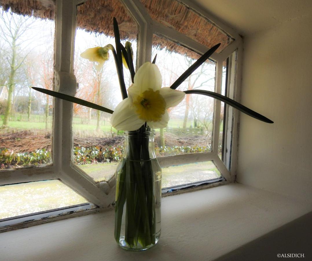 The Wee White Hoose Bed & Breakfast Oosternijkerk Ngoại thất bức ảnh