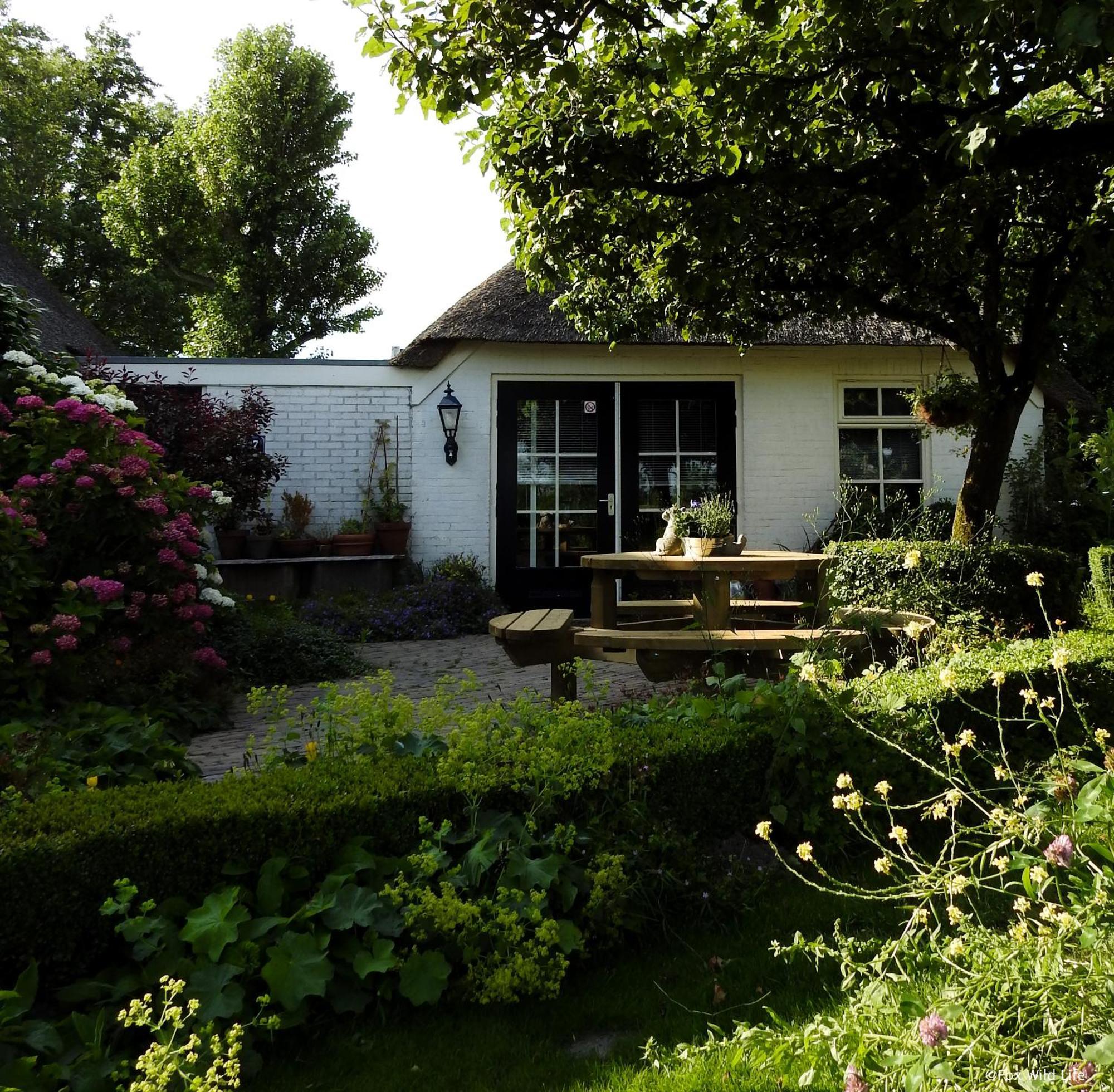 The Wee White Hoose Bed & Breakfast Oosternijkerk Ngoại thất bức ảnh