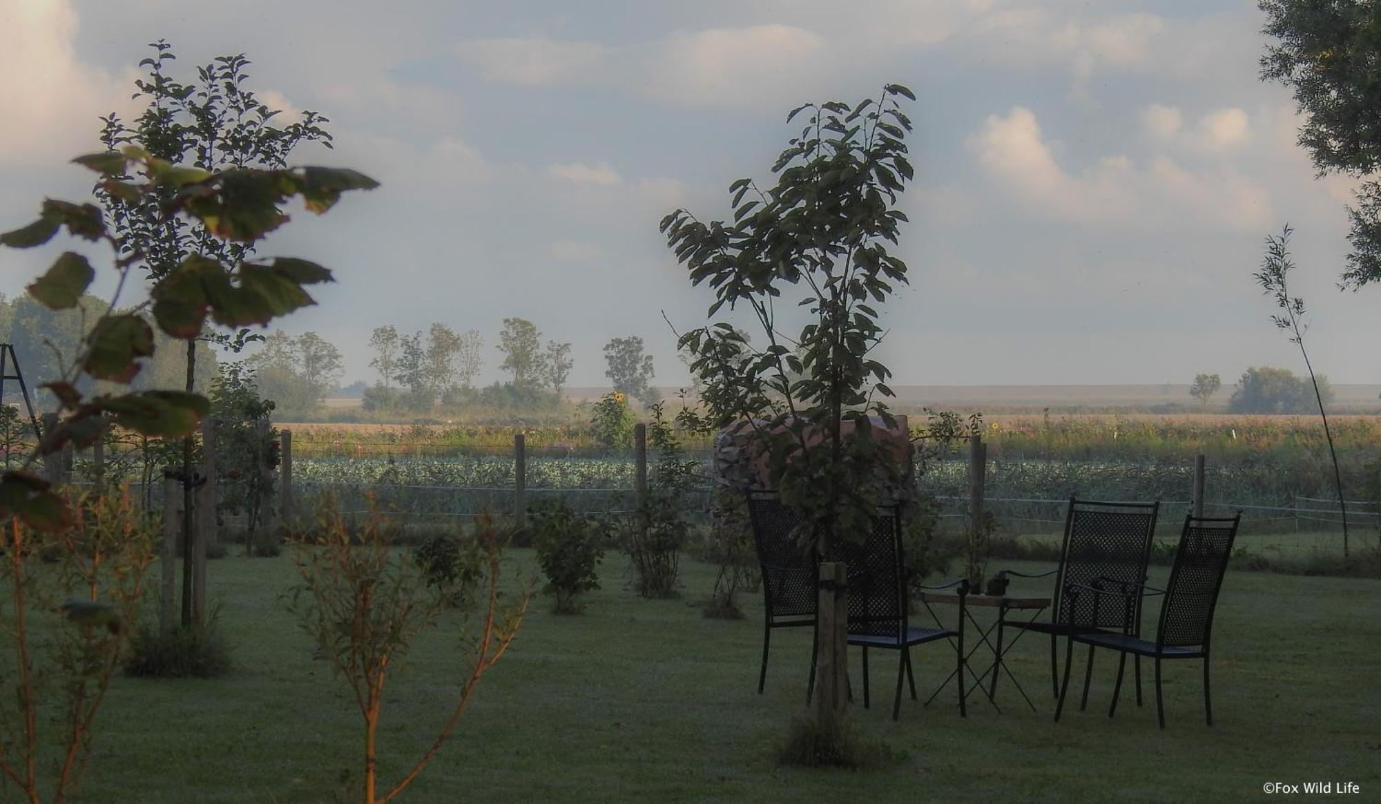 The Wee White Hoose Bed & Breakfast Oosternijkerk Ngoại thất bức ảnh